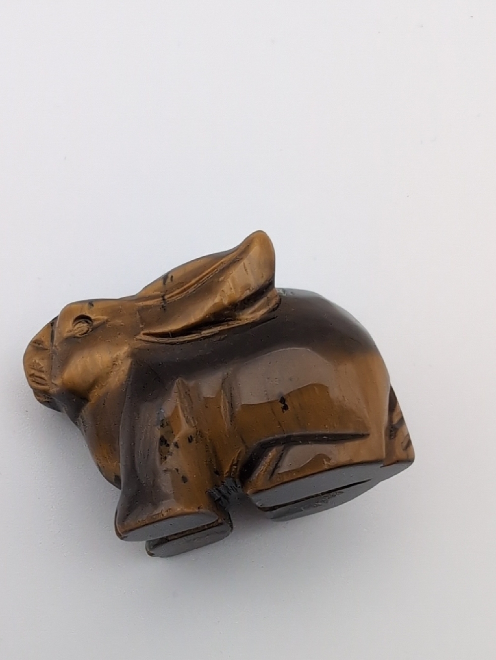 Tiger Eye Rabbit 🐇